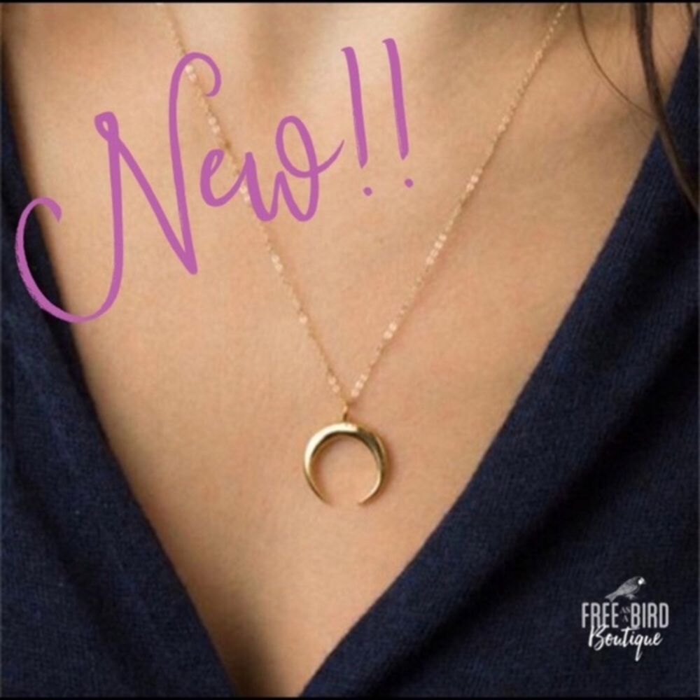 Crescent Horn Necklace